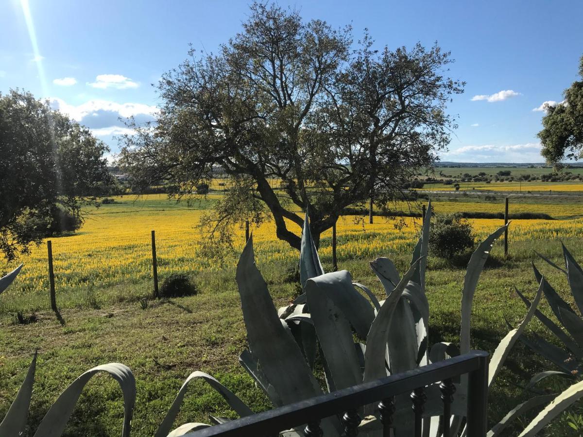 Villa Quinta da Colina Évora Esterno foto